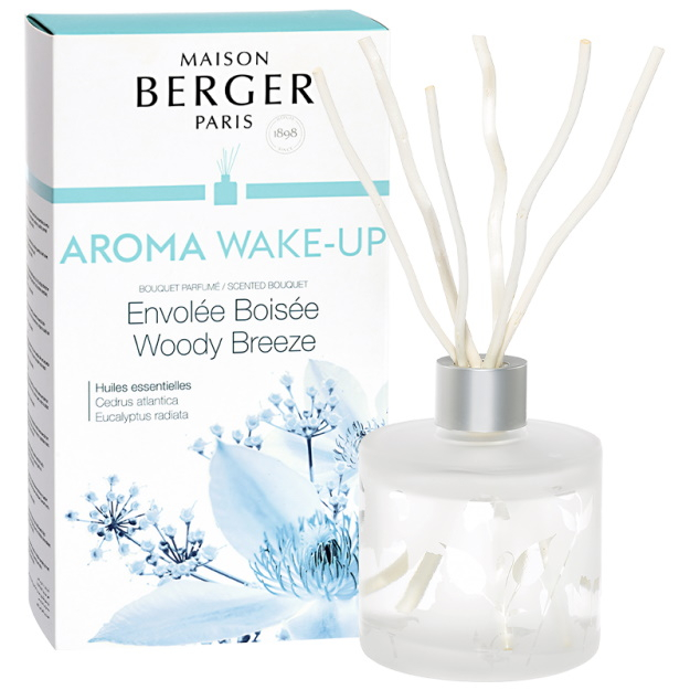 Difuzor parfum camera Berger Aroma Wake-up Woody Breeze 180ml 180ml