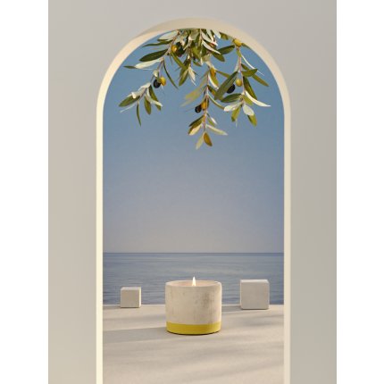 Lumanare exterior La Francaise Outdoor Pot Beton Peint Olive Tree Citronnella 180g