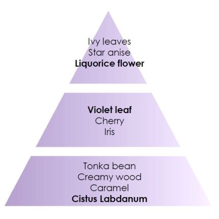 Difuzor ultrasonic parfum Berger Lolita Lempicka Noir + parfum 475 ml
