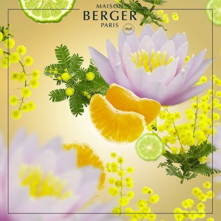 Parfum pentru lampa catalitica Berger Aroma D-Stress Sweet Fruits 1000ml