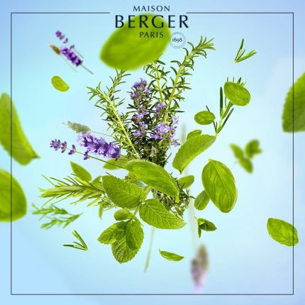 Parfum pentru lampa catalitica Maison Berger Aroma Focus Aromatic Leaves 500ml