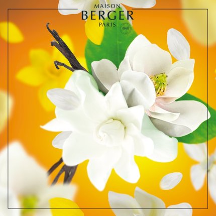 Parfum pentru difuzor Maison Berger Soleil DIvin 200ml