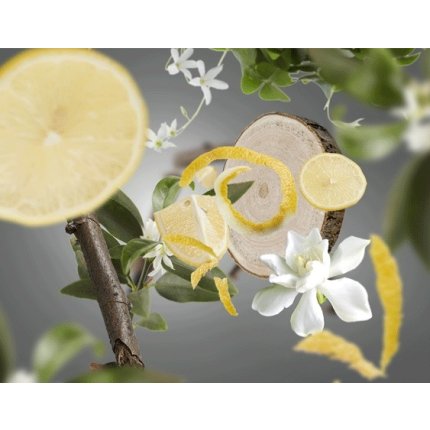 Lumanare parfumata Berger Animals 2 Floral & Zesty 180g