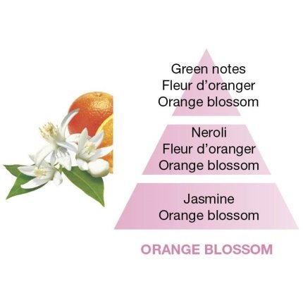 Difuzor parfum camera Maison Berger Bouquet Parfume Amphora Framboise Orange Blossom 200ml