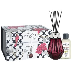 Lumanari & Parfumuri ambient Difuzor parfum camera Maison Berger Prisme Grenat cu parfum Terre Sauvage 200ml