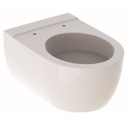 Obiecte sanitare Vas WC suspendat Geberit iCon 53cm