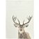 Prosop de bucatarie Sander Kitchen One Deer 50x70cm, 40 original