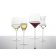 Set 2 pahare vin alb Zwiesel Glas Alloro Chardonnay, handmade, 525ml