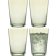 Set 4 pahare apa Zwiesel Glas Together, cristal Tritan, 548ml, olive