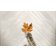 Gresie portelanata rectificata Iris Whole Chevron Maiolica 120x60cm, 9mm, White Natural